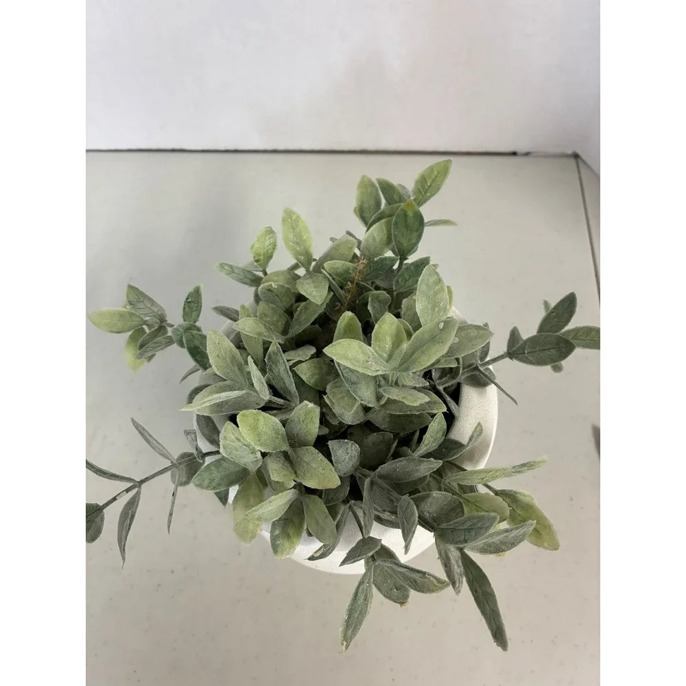 Better Homes & Gardens 6‎ Inch Chinooke White Ribbed Ceramic Faux Plant Planter